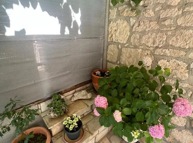 Kuca Za Odmor Matea Apartment *